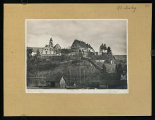 246, Leonberg. (Nr. 3279).