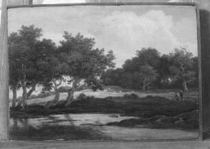Baumlandschaft mit Bach
