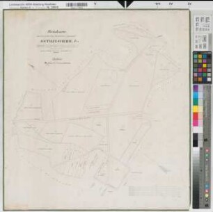 Angelmodde (Münster), Hiltrup (Münster), Teilung der Osthuesheide, Reinkarte
