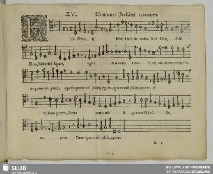 XV. Fide Deo et sis fortis