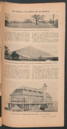 El vidrio y el cultivo de las plantas