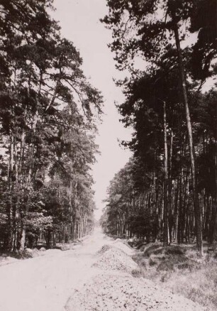 Klotzscher Weg : Dresden-Hellerau, Klotzscher Weg. Straße zur Zeit des Baubeginns 1909. Blick nach Norden