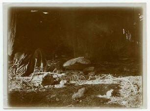 Aus d. Beduinenlager in Gor (nördl. v. 'en Belata)