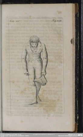 Seite 105. Fig. XVIII