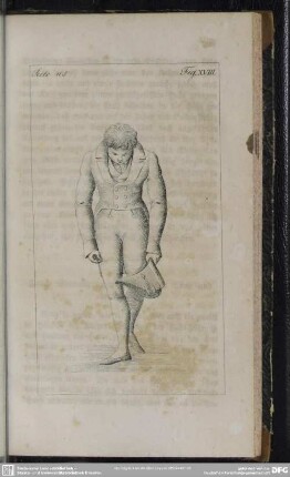 Seite 105. Fig. XVIII