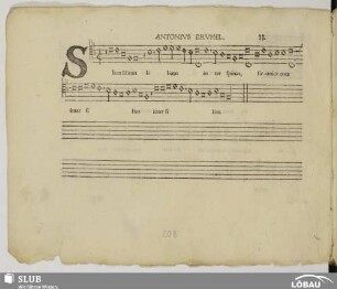 II. Brumel, Antoine: Sicut lilium inter spinas