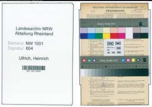 Entnazifizierung Heinrich Ullrich, geb. 29.03.1909 (Verw.Inspektor)
