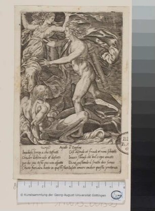 Apollo und Daphne