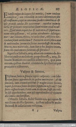 Vulpes & Sentes