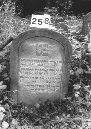 Grabstein 258