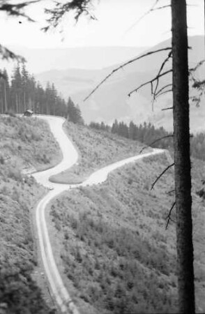Bad Griesbach: Serpentinen der Straße Bad Griesbach-Alexanderschanze
