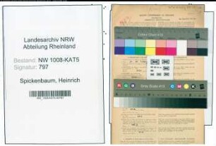 Entnazifizierung Heinrich Spickenbaum , geb. 19.07.1905 (Arzt)