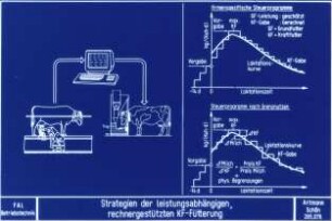 Strategien der leistungsabhängigen, rechnergestützen KF-Fütterung