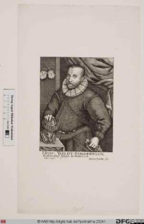 Bildnis Hans II Waldstromer (von Reichelsdorf)
