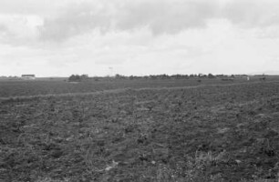 Feld : Blick über das Feld einer Plantage