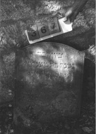 Grabstein 367 (Index: 99610004) Material: Sandstein Zustand: stark verwittert, weitgehender Textverlust Maße HxBxT: 72x55x8 cm Beschreibung: Stele, leicht eingezogener flacher Segmentbogenabschluß, Schriftfeld abgegrenzt: Grabstein 367
