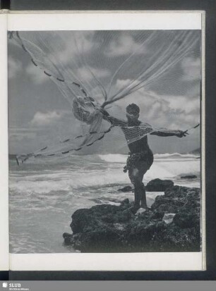 Netzwerfer von Hawaii