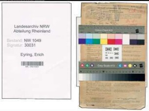 Entnazifizierung Erich Eyring , geb. 04.01.1905 (Bauingenieur)