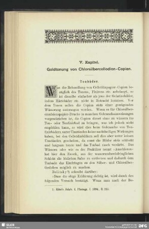 V. Kapitel - Goldtonung von Chlorsilbercollodion-Copien