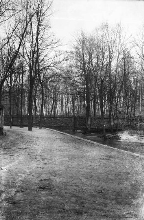 Waldlandschaft