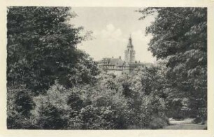 Ansichtskarte: Burg Falkenstein