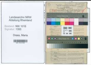 Entnazifizierung Maria Drees , geb. 24.02.1882 (Lehrerin)