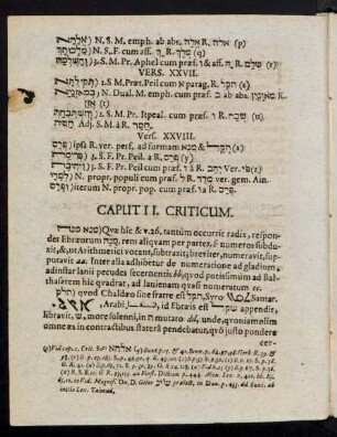 Caput II. Criticum.