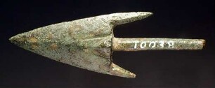 Zweiflügelige Dornpfeilspitze mit Widerhaken