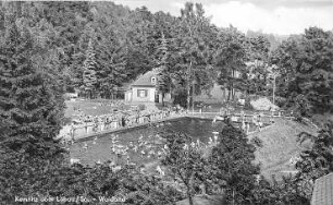 Bernstadt auf dem Eigen-Kemnitz. Waldbad, Ansichtskarte