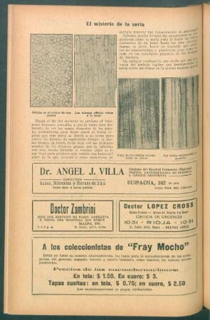 El misterio de la savia