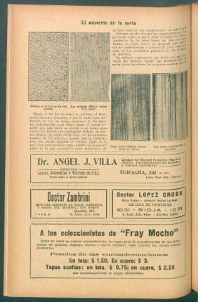 El misterio de la savia