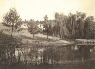 Dresden-Hellerau. Baumgruppe am Teich