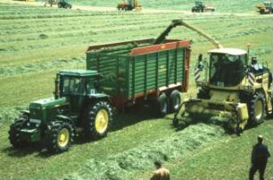 Fotografie: Futtererntetechnik, Grassilage, Feldhäcksler selbstfahrend, Parallelverfahren