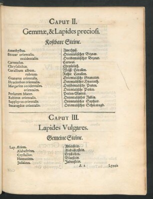 Caput III. Lapides Vulgares. Gemeine Steine.