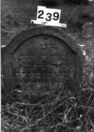 Grabstein 239