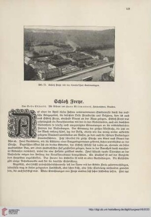 16: Schloß Freyr