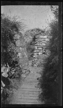 "Maasbogen-Stellung" (bei Saint-Mihiel (Dep. Meuse, Frankreich)): befestigter und unbefestigter Laufgraben ("Grabenstrecke")