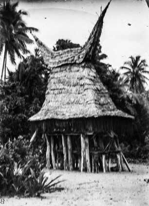 Tamban (Forschungsreise durch Deutsch-Guinea 1909)