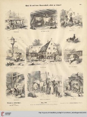 Nro. 181