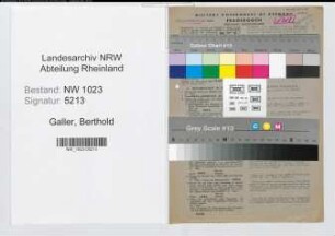Entnazifizierung Berthold Galler , geb. 18.03.1899 (Ingenieur)