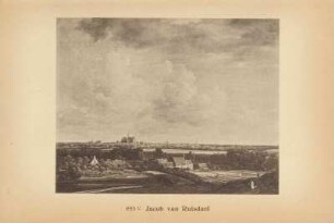Jacob van Ruisdael. Haarlem von den Dünen bei Overveen gesehen. 885 C
