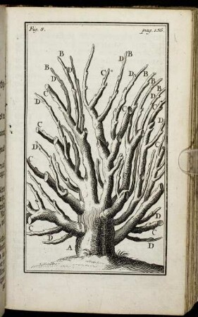 Fig. 8. pag. 156.