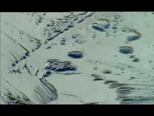Touch the sound (2004) - Trailer