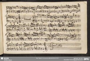 Menuet