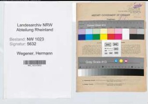Entnazifizierung Hermann Wegener , geb. 24.09.1900 (Arzt)