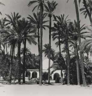 Elche. Spanien. Ein Gebäude im Maurischen Stil im El Palmeral, dem größten und ältesten existierenden Palmengarten