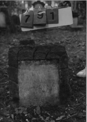 Grabstein 791 [Hahn S. 244 Grab-Nr. 690]