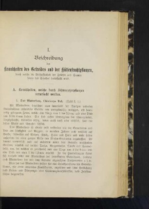 1. Das Mutterkorn, Cláviceps Tul. (Tafel I, 1.)