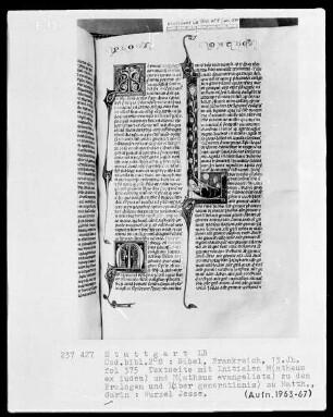 Bibel — Initiale L (iber generationis), darin Wurzel Jesse, Folio 375verso