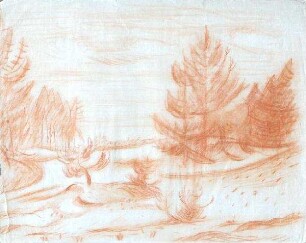 Bewaldete Landschaft